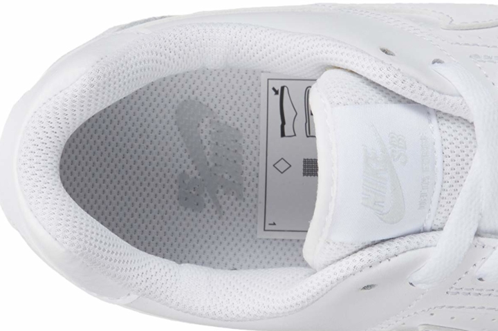 Nike SB Delta Force Vulc collar2